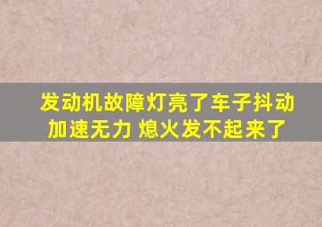 发动机故障灯亮了车子抖动加速无力 熄火发不起来了
